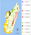 Propithecus species IUCN range map