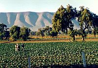 Archivo:Puebla farmers