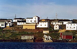 Archivo:Redbay001