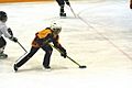 RingettePlayer