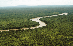 Archivo:River gambia Niokolokoba National Park