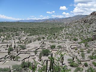 Ruinas de quilmes costado.jpg