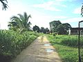 San Francisco (Tixkokob), Yucatán (03)
