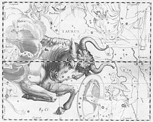 Archivo:Taurus by Johannes Hevelius