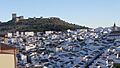 Teba 2013