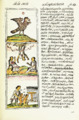 The Digital Edition of the Florentine Codex Book 1 0620 Life in Mesoamerica