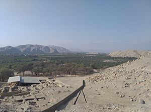 Vista de Sechín Alto desde las faldas del cerro Sechín.jpg