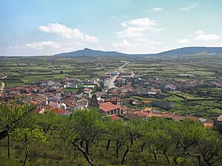 Vista de Vilvestre.jpg