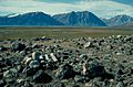 Zackenberg.4