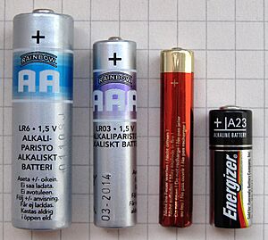 Archivo:AA AAA AAAA A23 battery comparison-1