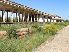 Andén y vía estación ferrocarril