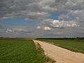 Artois