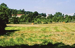 Burgos (provincia) 2004 11.jpg