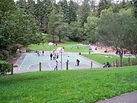 Archivo:Codornices Park Berkeley