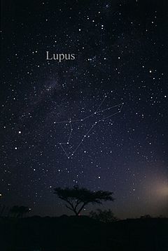 Archivo:Constellation Lupus