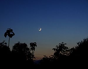 Archivo:Crescent Moon (2558144570)