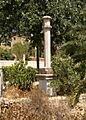 Creu de Biniali 2007
