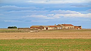 Archivo:Despoblado de Aldeayuste en El Campo de Peñaranda