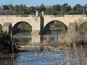 Archivo:Detalle del puente de Palmas. Badajoz (Extremadura, España). Spain