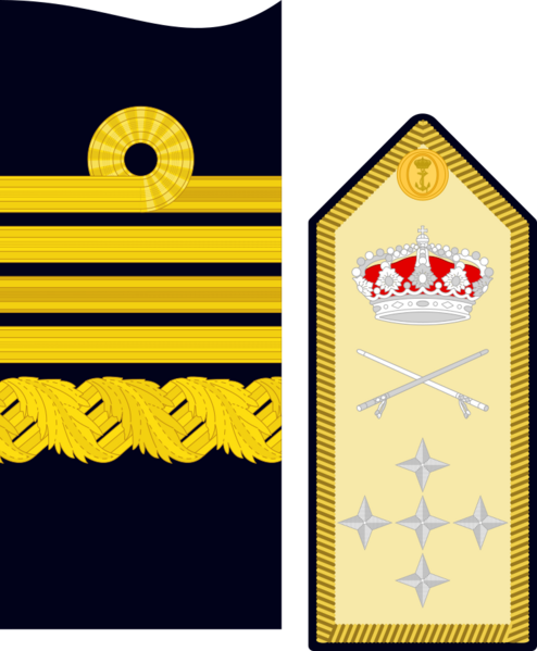 Divipalaarmadaes 28