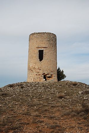 El Burgos de Osma Atalaya El Lomero 24.JPG
