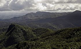 El Toro Wilderness.jpg