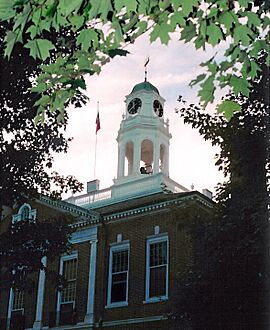 Exeter Tree Halo.jpg