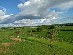 Archivo:Goz-Beïda, Sila ,Tchad Est