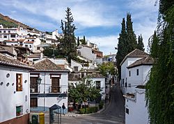 Archivo:Granada, Spain - panoramio