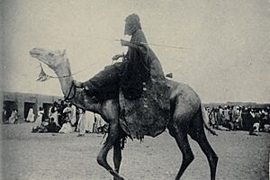 Archivo:Guerrero tuareg a camello, hacía 1912, en territorios del actual Malí. Fotografía capitán Repoux