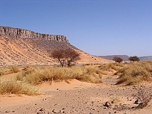 Archivo:Hoggar Desert (Algerie)