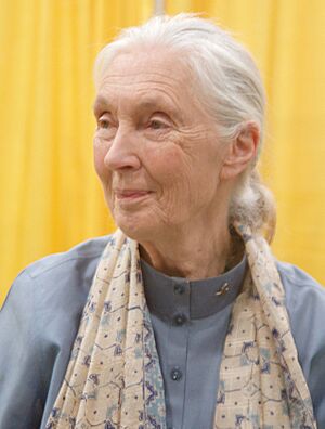 Archivo:JaneGoodallSept2011