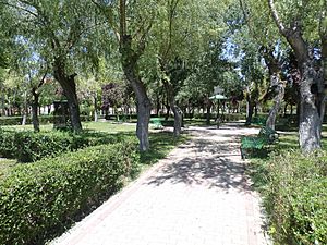 Jardines (Peñaranda de Bracamonte)