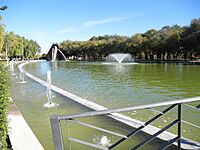 Lago Surtidores 26-10-2010 ParqueElPilarCiudadReal