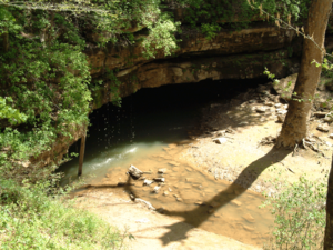 Archivo:Mammoth Cave River Styx