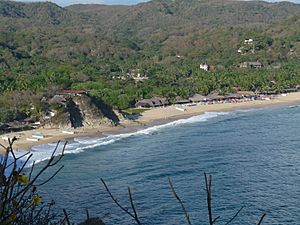 Mazunte beach view.jpg