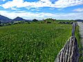 Meadows in Cantabria