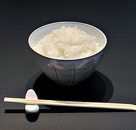 Meshi 001.jpg