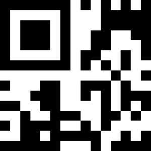 Archivo:MicroQR Example
