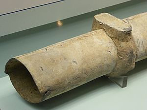 Archivo:Museo del Foro de Caesaraugusta - Wiki Takes Caesaraugusta 14