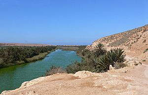 Archivo:Oued massa