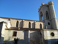 Palencia 11 San Miguel by-dpc