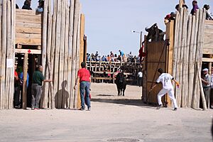 Archivo:Plaza de Palos 4