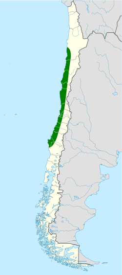 Distribución geográfica del canastero colinegro.