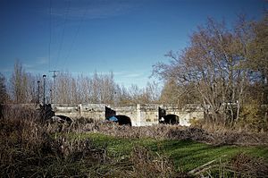 Archivo:Puente Viejo de Saldaña sobre el río Carrión (2)