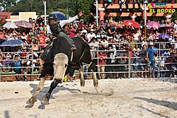 San Jose El Rodeo San Marcos, Rodeo.jpg