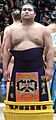 Takayasu 2012 Jan 2
