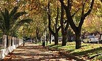 Archivo:Talca, alameda (37060014606)
