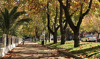 Talca, alameda (37060014606).jpg