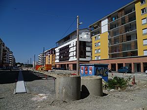 Archivo:Toulouse - La rue Cécile Brunschvicg 1a